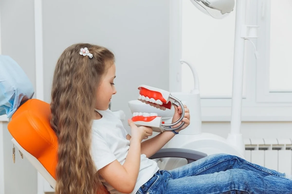 Mała dziewczynka trzymająca model szczęk w klinice dentystycznej